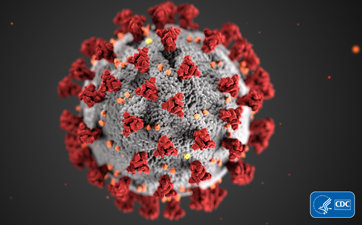 Visual representation of coronavirus using grey, red and orange.